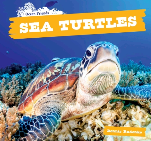 Cover image for book Sea Turtles