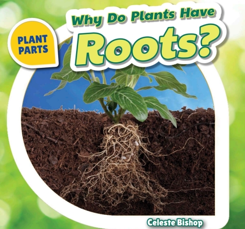 Cover image for book Why Do Plants Have Roots?