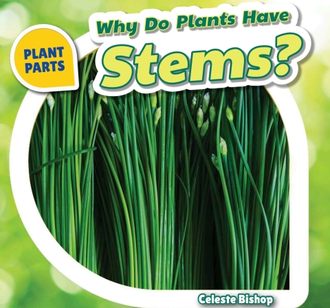 Cover image for book Why Do Plants Have Stems?