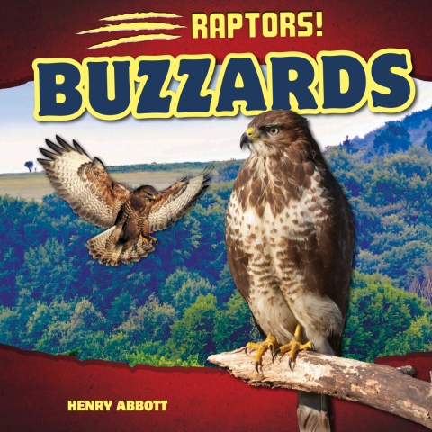 Cover image for book Buzzards
