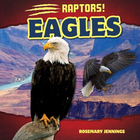 Cover image for book Eagles