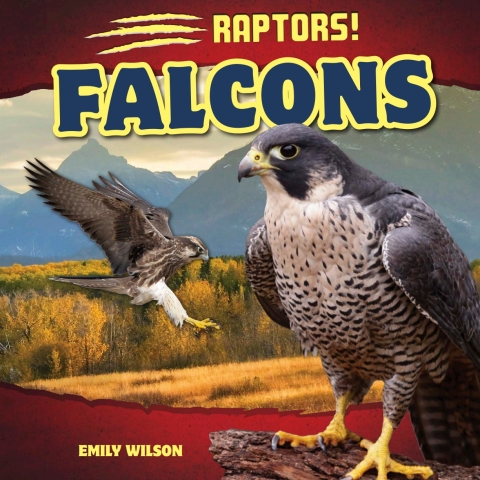 Cover image for book Falcons