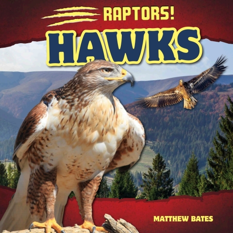 Cover image for book Hawks