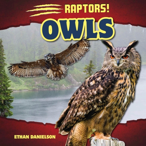 Cover image for book Owls