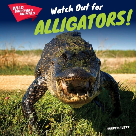 Cover image for book Watch Out for Alligators!