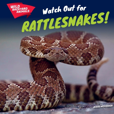 Cover image for book Watch Out for Rattlesnakes!
