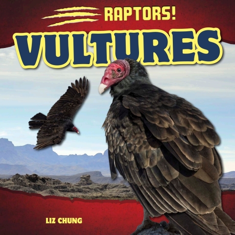 Cover image for book Vultures