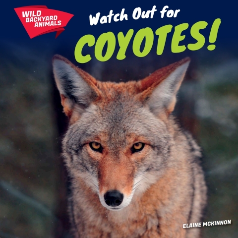 Cover image for book Watch Out for Coyotes!