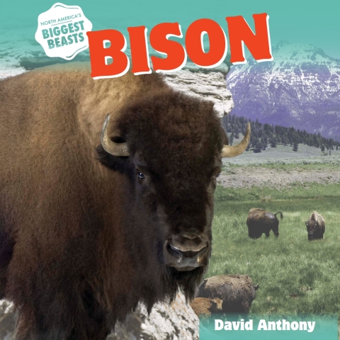 Cover image for book Bison