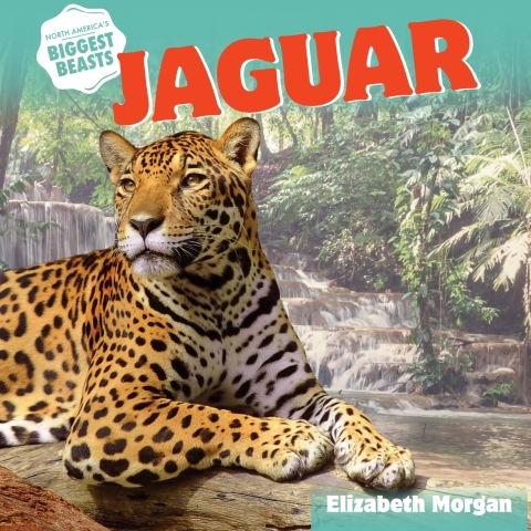 Cover image for book Jaguar