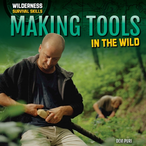 Cover image for book Making Tools in the Wild