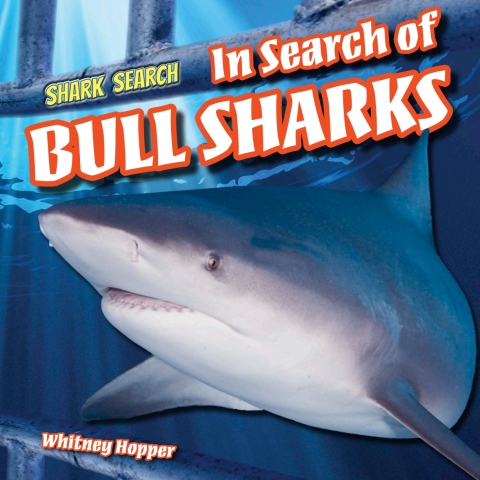 Cover image for book In Search of Bull Sharks