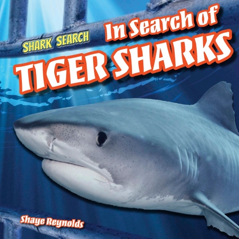 Cover image for book In Search of Tiger Sharks