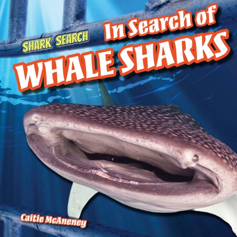 Cover image for book In Search of Whale Sharks