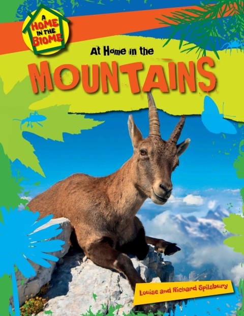 Cover image for book At Home in the Mountains