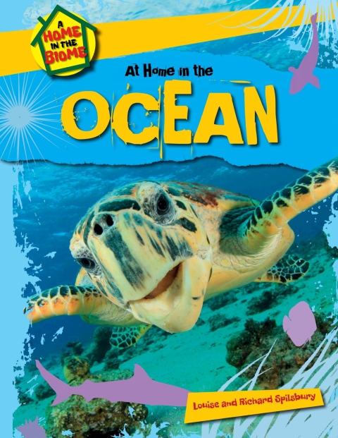 Cover image for book At Home in the Ocean