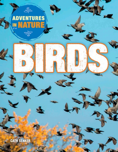 Cover image for book Birds