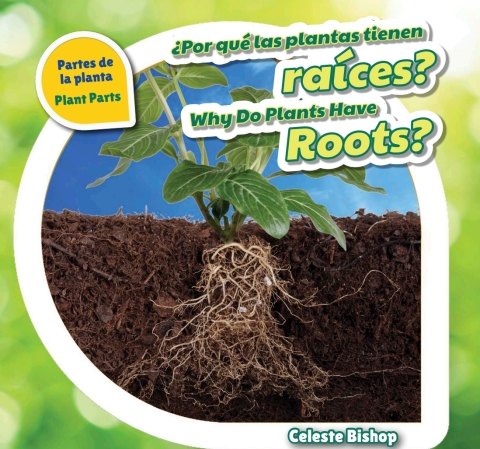 Cover image for book ¿Por qué las plantas tienen raíces? / Why Do Plants Have Roots?