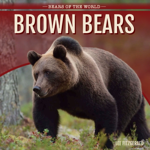 Cover image for book Brown Bears