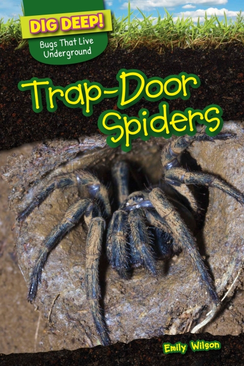 Cover image for book Trap-Door Spiders