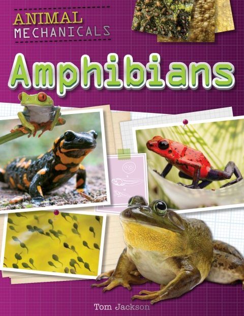 Cover image for book Amphibians
