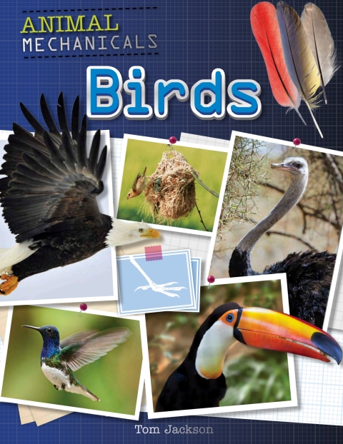 Cover image for book Birds