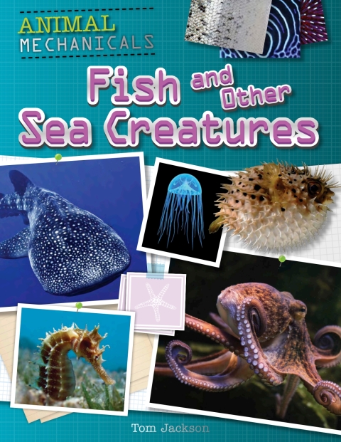 Cover image for book Fish and Other Sea Creatures