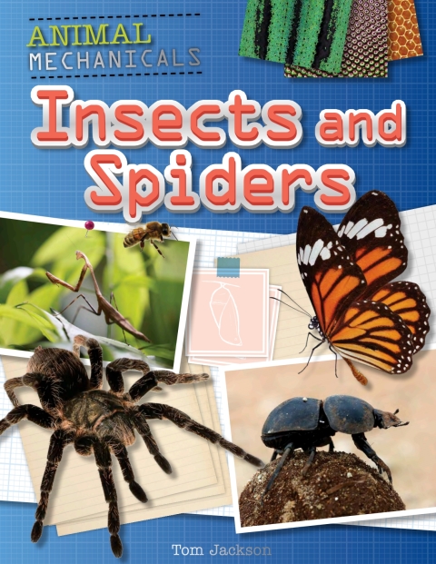 Cover image for book Insects and Spiders