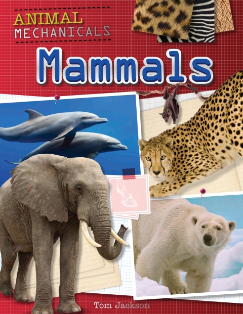 Cover image for book Mammals