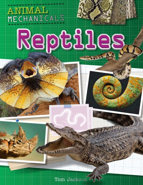 Cover image for book Reptiles