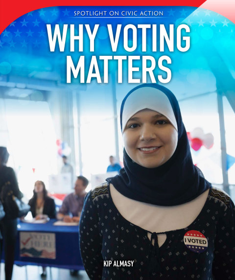 Cover image for book Why Voting Matters