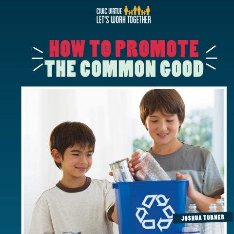 Cover image for book How to Promote the Common Good