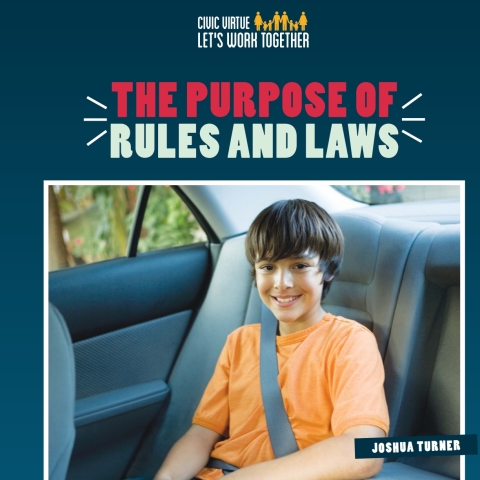 Cover image for book The Purpose of Rules and Laws