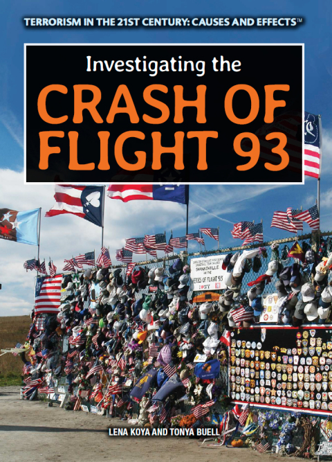 Cover image for book Investigating the Crash of Flight 93