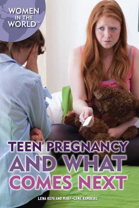 Cover image for book Teen Pregnancy and What Comes Next