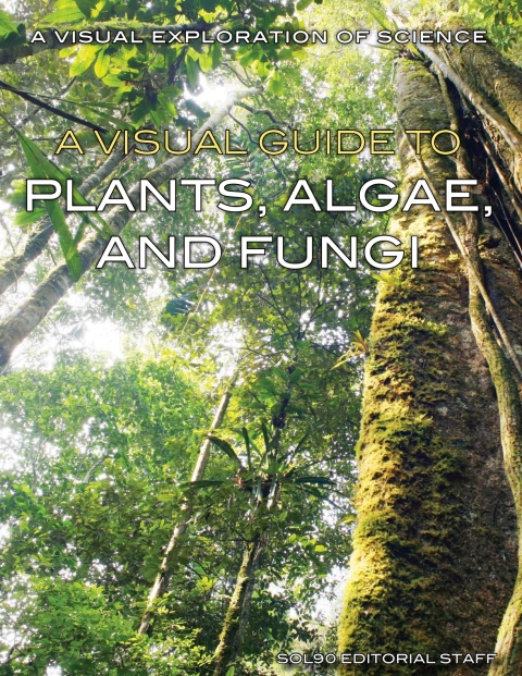 Cover image for book A Visual Guide to Plants, Algae, and Fungi