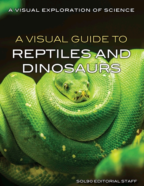 Cover image for book A Visual Guide to Reptiles and Dinosaurs