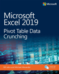 Microsoft Excel 2019 Pivot Table Data Crunching ePUB ebook