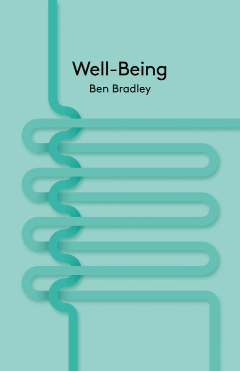 Cover image for book Well-Being