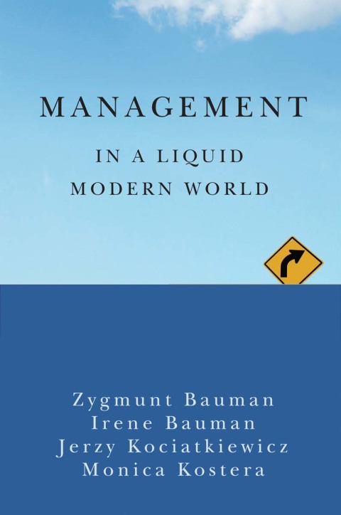 Cover image for book Management in a Liquid Modern World