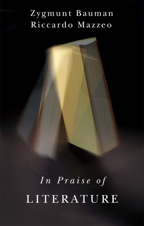 Cover image for book In Praise of Literature