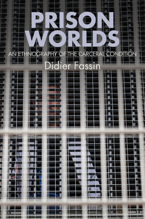 Prison Worlds: An Ethnography of the Carceral Condition 