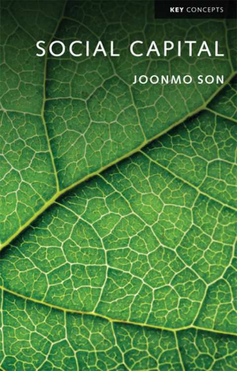 Cover image for book Social Capital