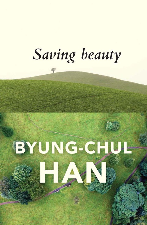 Cover image for book Saving Beauty