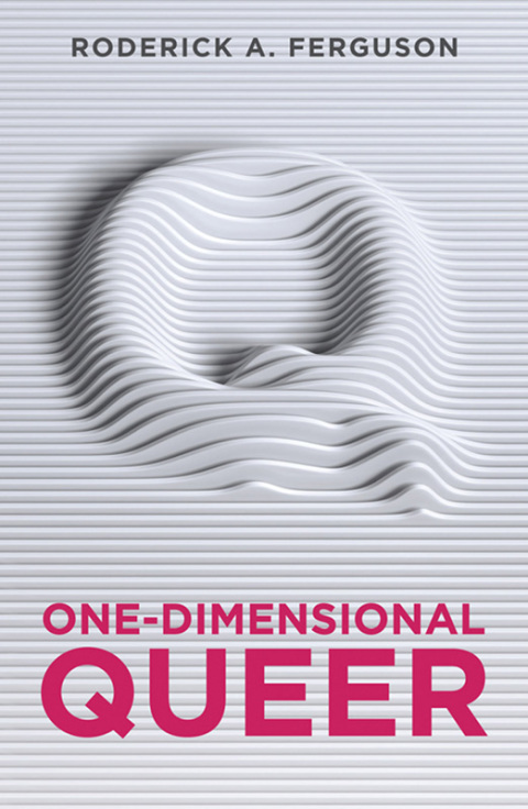 Cover image for book One-Dimensional Queer