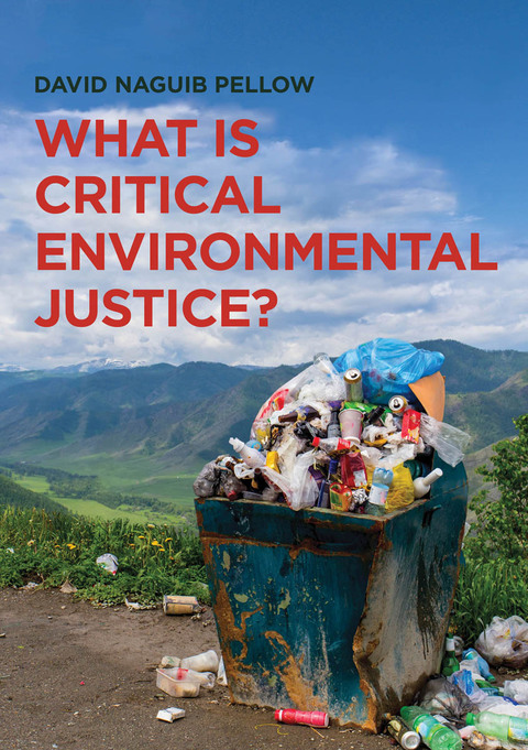 Cover image for book What is Critical Environmental Justice?