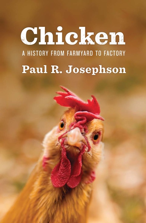 Cover image for book Chicken