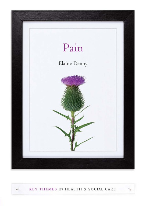 Cover image for book Pain: A Sociological Introduction
