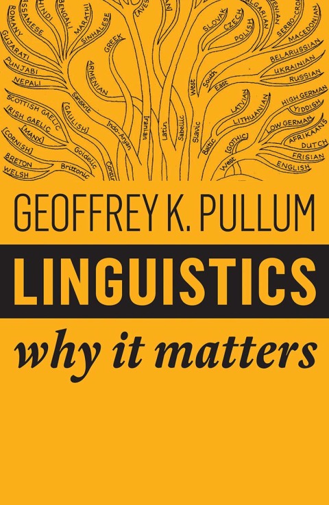 Cover image for book Linguistics: Why It Matters