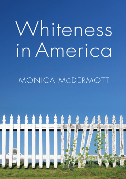 Cover image for book Whiteness in America
